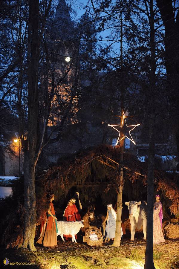 Nom de l'image : D30039541_1_(c)Norbert-JUNG — Description :